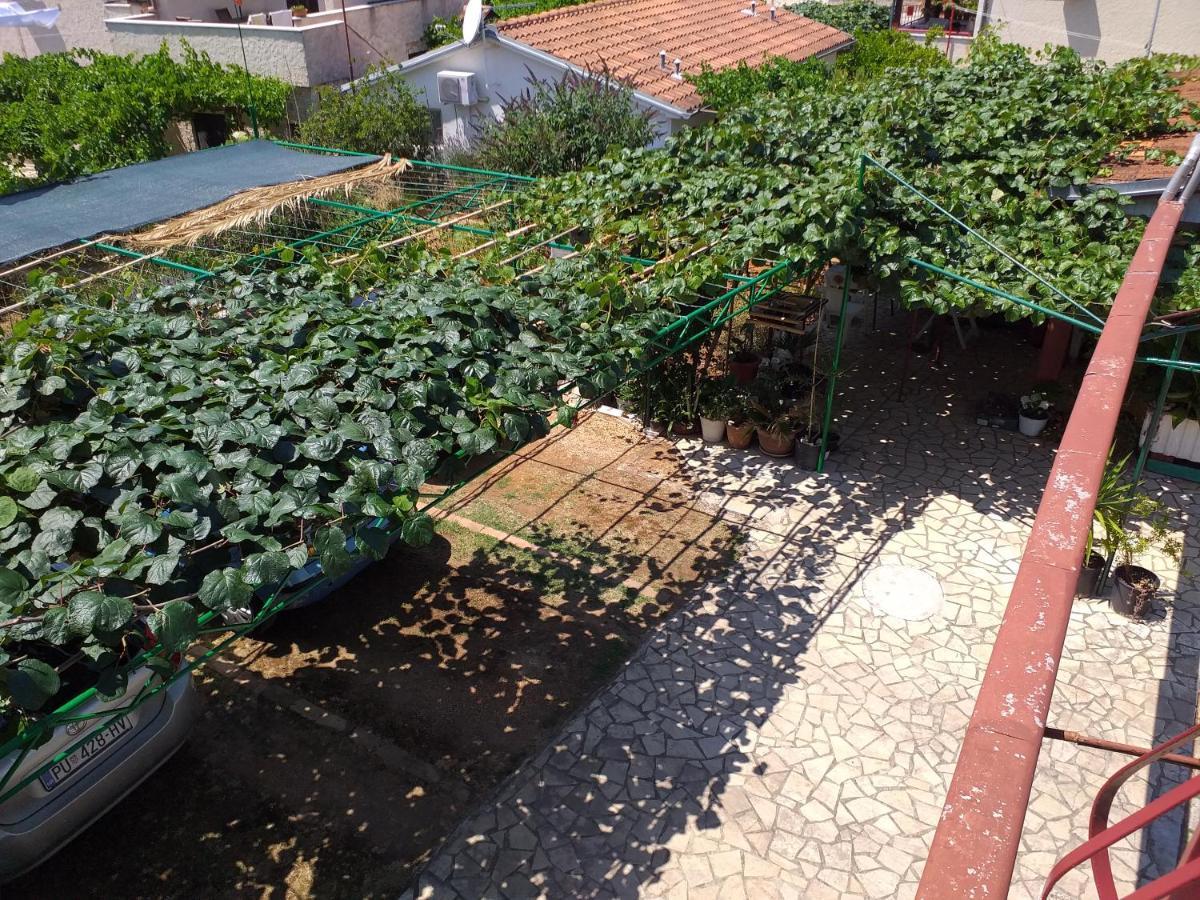 Levak Apartments - Apt. 1 Pjescana Uvala Εξωτερικό φωτογραφία