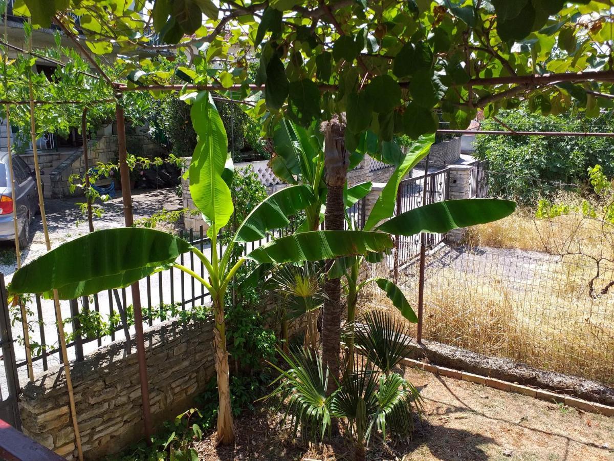 Levak Apartments - Apt. 1 Pjescana Uvala Εξωτερικό φωτογραφία