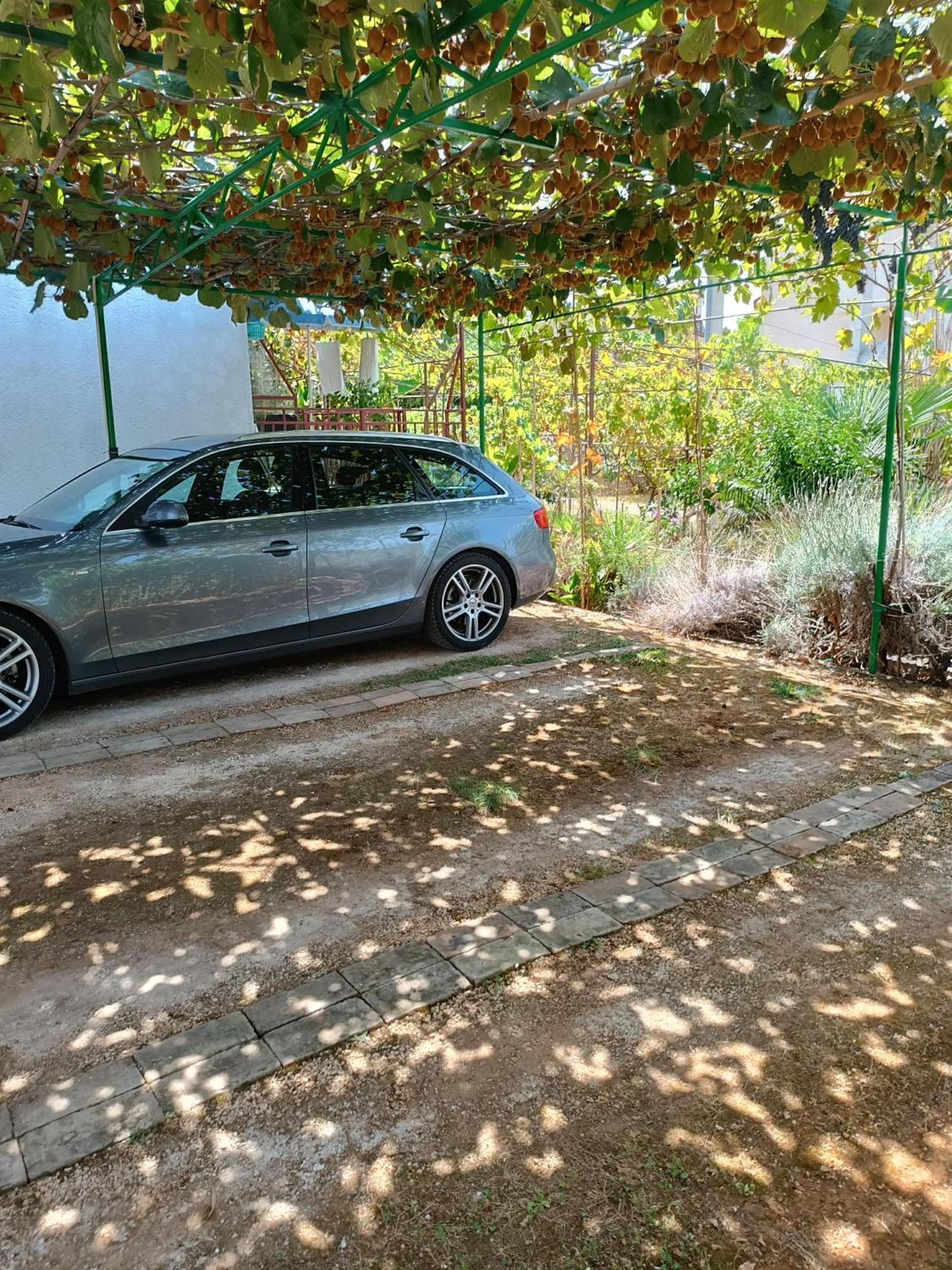 Levak Apartments - Apt. 1 Pjescana Uvala Εξωτερικό φωτογραφία