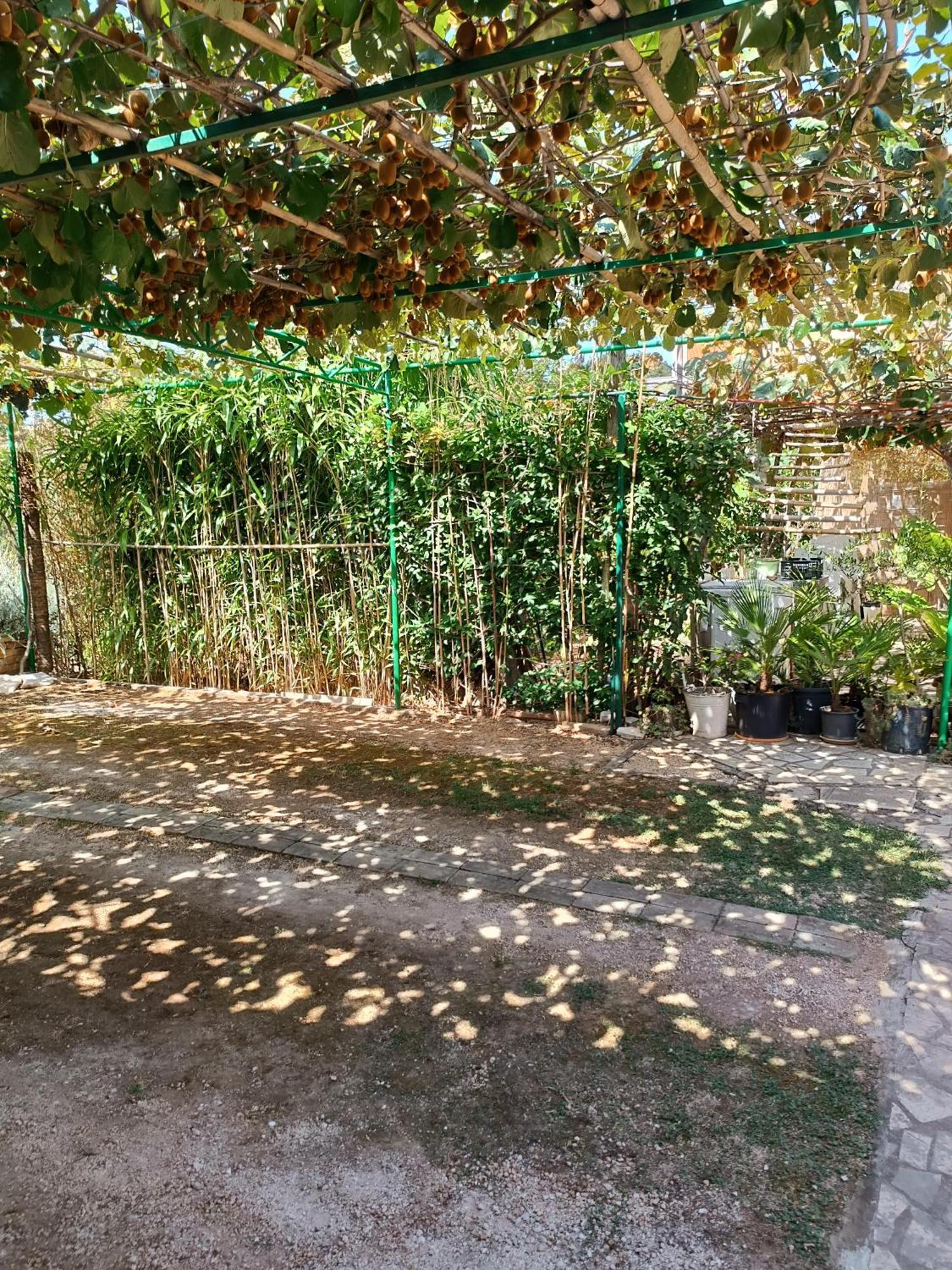Levak Apartments - Apt. 1 Pjescana Uvala Εξωτερικό φωτογραφία