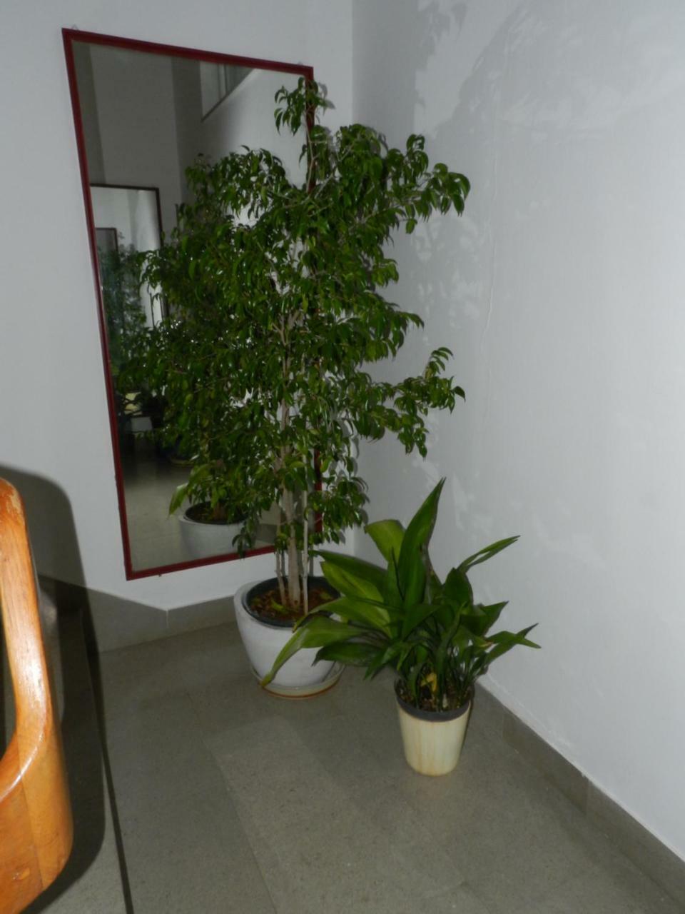 Levak Apartments - Apt. 1 Pjescana Uvala Εξωτερικό φωτογραφία